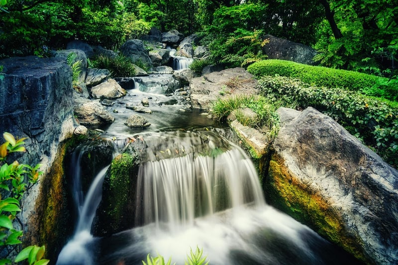 Zen Garden Oasis